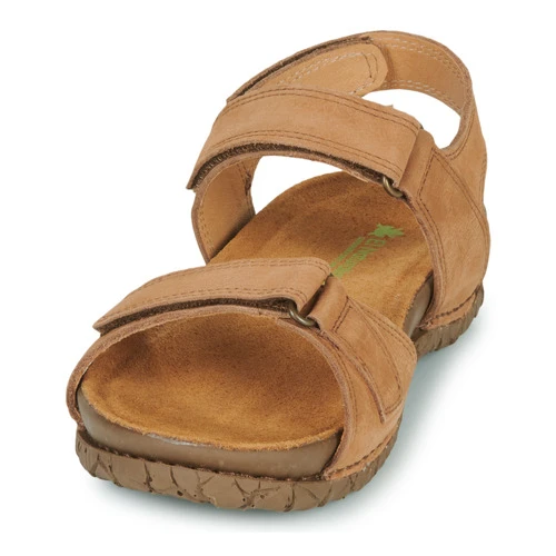 El Naturalista Tabernas 5 El Naturalista Tabernas - Imagen 3