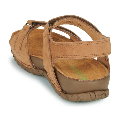 El Naturalista Tabernas 7 El Naturalista Tabernas - Imagen 5