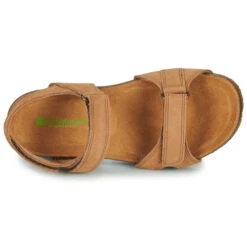 El Naturalista Tabernas 14 El Naturalista Tabernas -Vans || Adidas Originals || Converse Tienda de ventas 24276664 500 F